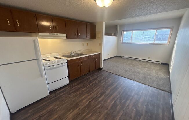 Studio, 1 bath, 500 sqft, $650, Unit 106