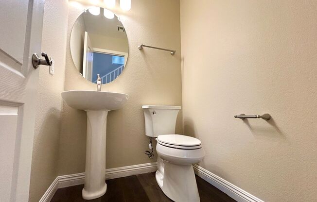 Southern Highlands Cutie!