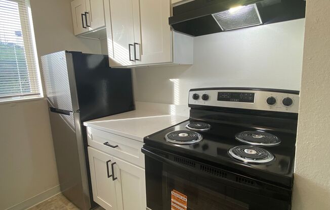 1 bed, 1 bath, 436 sqft, $945