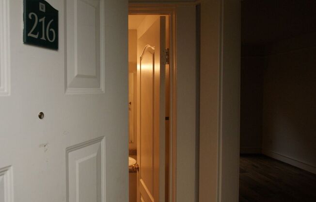 Studio, 1 bath, 423 sqft, $1,250, Unit 216