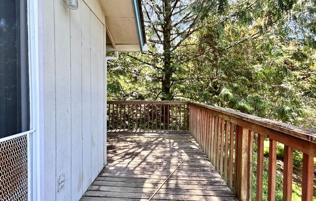 Large 3 Bed, 2 Bath, Sanctuary!