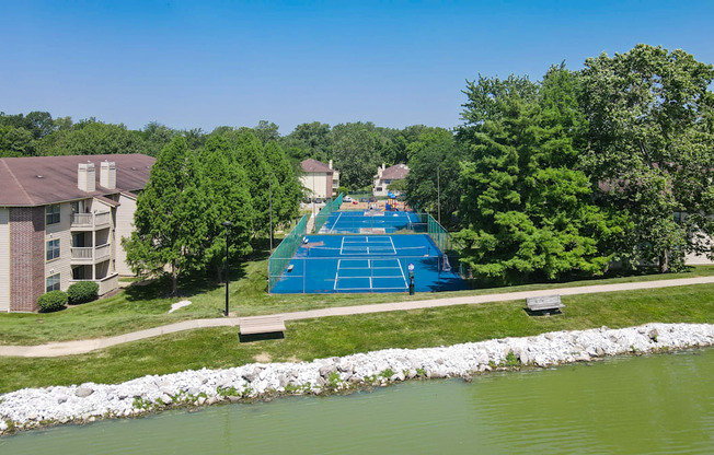 aerial sports court