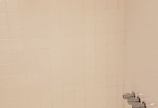 Studio, 1 bath, 450 sqft, $900, Unit 306