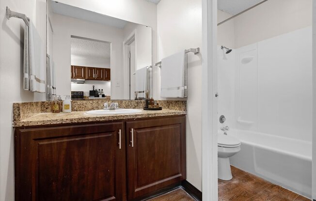 a bathroom with a sink and a toilet and a mirror