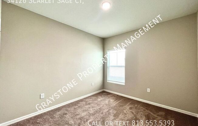 34126 SCARLET SAGE CT