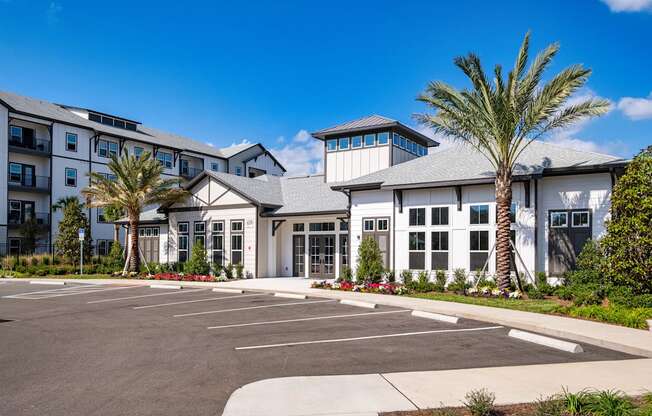 A large white building with a palm tree in front.