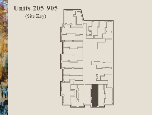 1 bed, 1 bath, $2,725, Unit 205