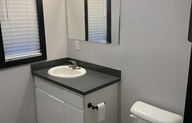 Studio, 1 bath, 375 sqft, $895, Unit 3