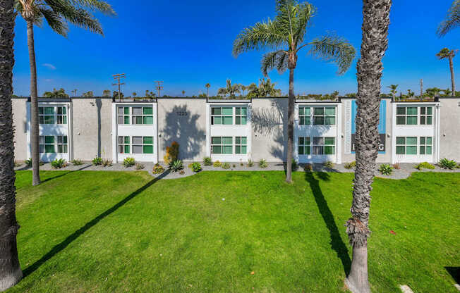 A row of houses with palm trees in front.