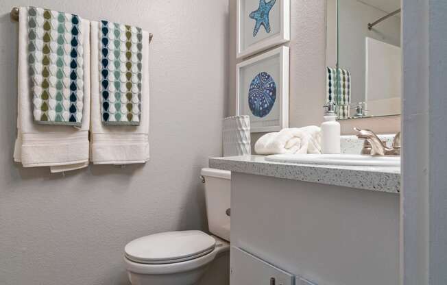 a bathroom with a toilet and a sink and a mirror