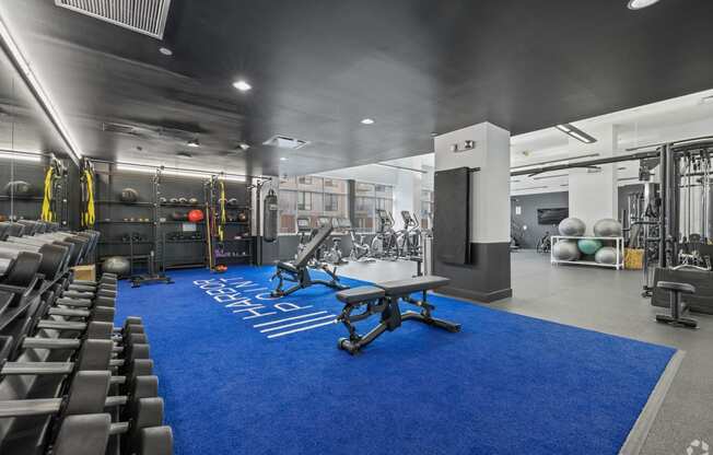 the gym at the adagio