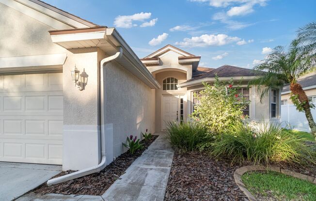 4 bed, 2 Bath New Tampa Home for Lease!