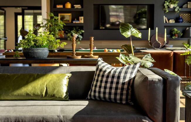 a living room with a couch and a table with plants