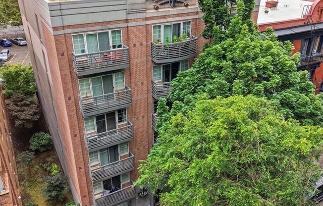 1 bed, 1 bath, 491 sqft, $1,250, Unit 604