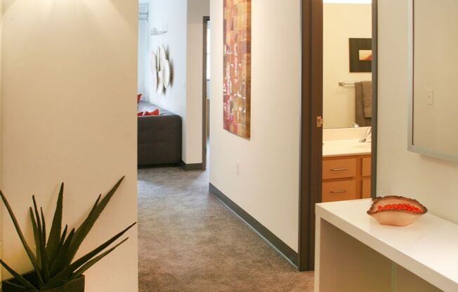 Humbucker Apartments