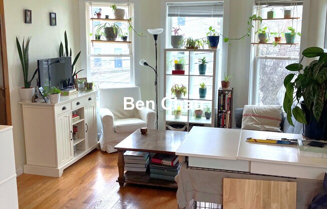 19 LINDEN ST