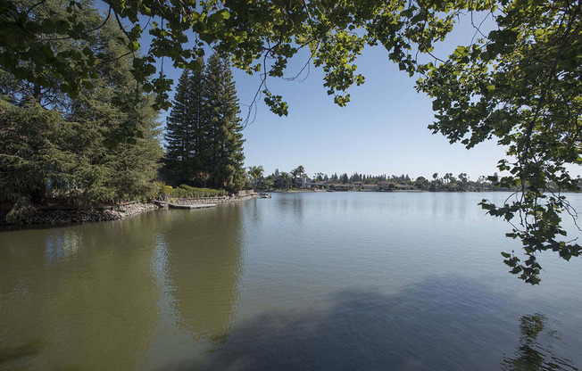 Lake view l Vue at the Lake in Sacramento