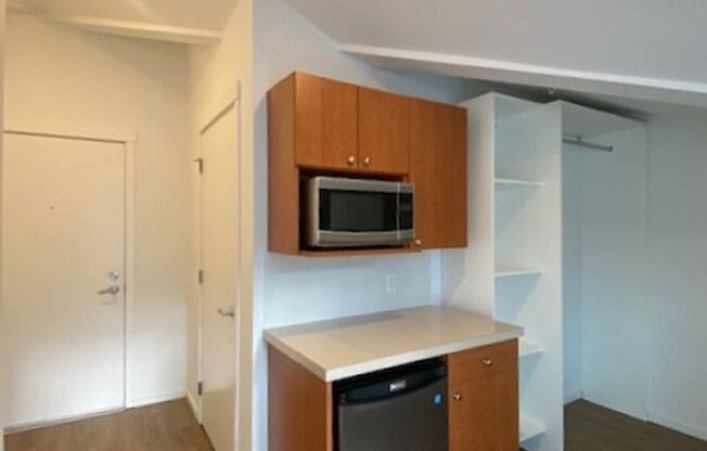 Studio, 1 bath, 175 sqft, $1,195, Unit 4517