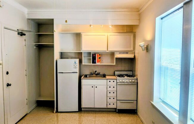 Studio, 1 bath, 241 sqft, $1,250, Unit 507