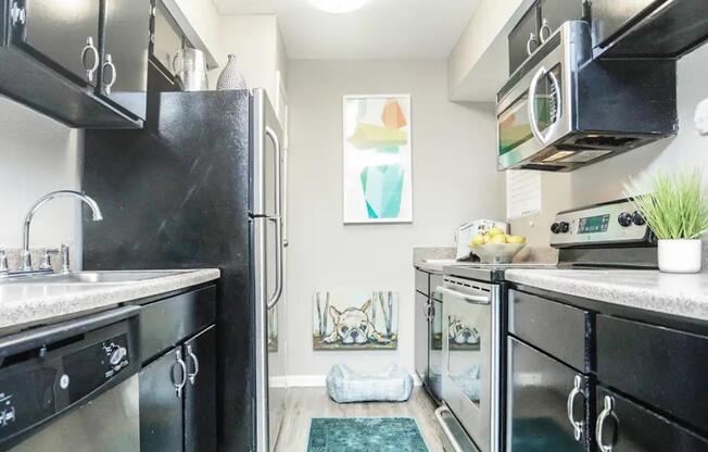 1 bed, 1 bath, 659 sqft, $879