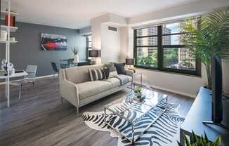 Twin Towers Apartments in Hyde Park, Chicago