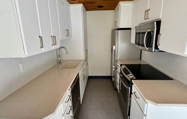 1 bed, 1 bath, $3,000, Unit Unit 101