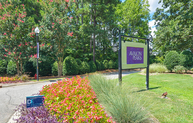 Avalon-Peaks-Apartments-Apex-NC-Sign-at-Entrance