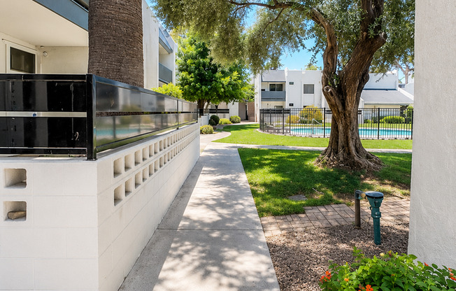 Studio, 1 bath, $1,095, Unit MV C 4