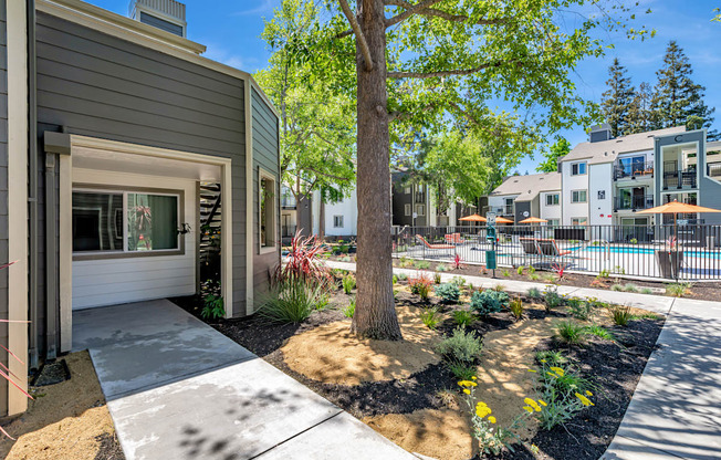 A tree in a landscaped area in front of a building.