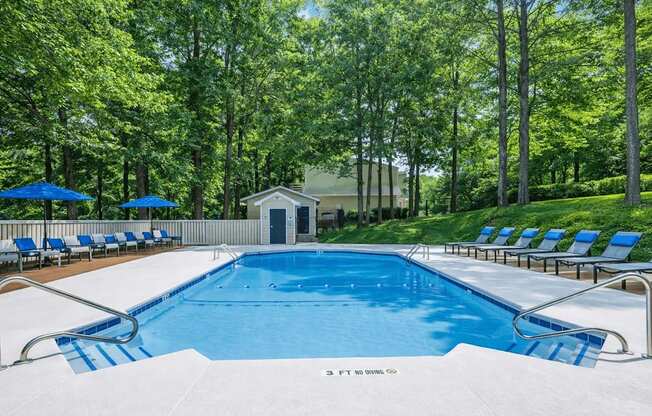 A large blue swimming pool surrounded by trees and lounge chairs.