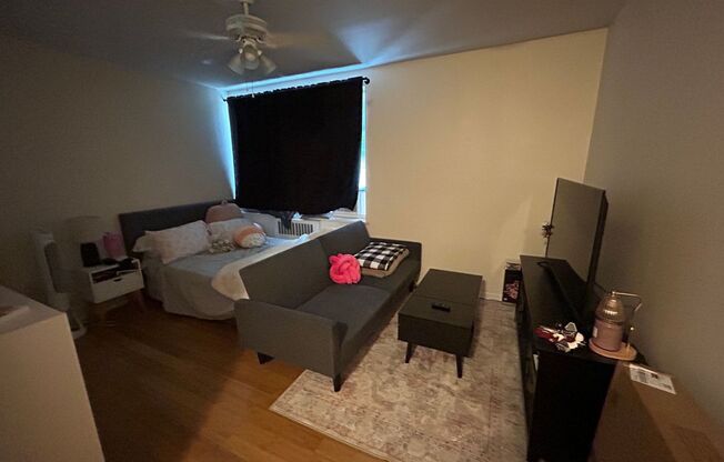 Studio, 1 bath, $825, Unit 104