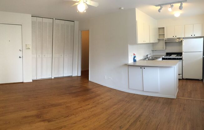 Studio, 1 bath, 334 sqft, $1,300, Unit 310