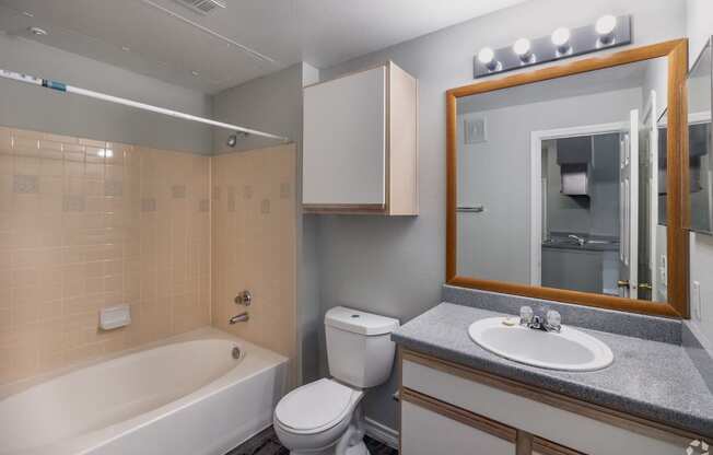 a bathroom with a sink toilet and tub and a mirror