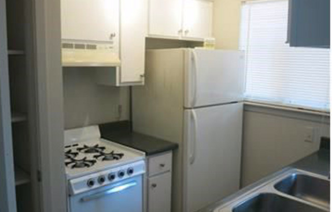 Studio, 1 bath, 380 sqft, $775, Unit Unit 203