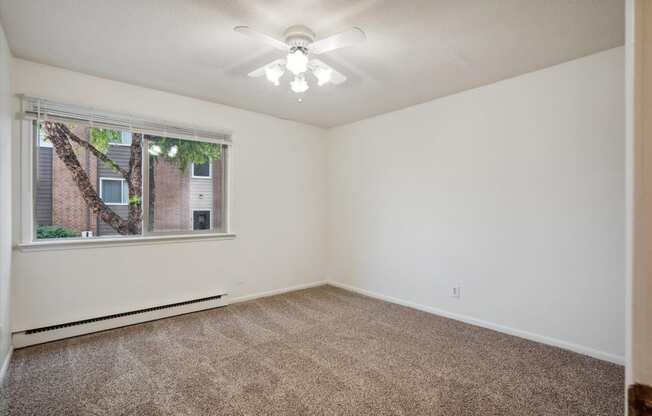 Bedroom with Plush Carpeting