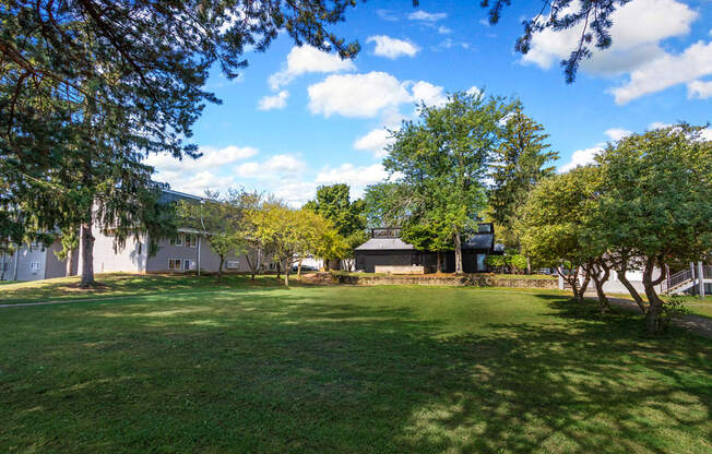 A large grassy field with trees and a building in the background.