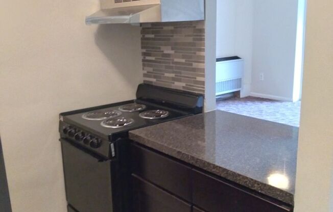 Studio, 1 bath, 415 sqft, $1,175, Unit 101-K1