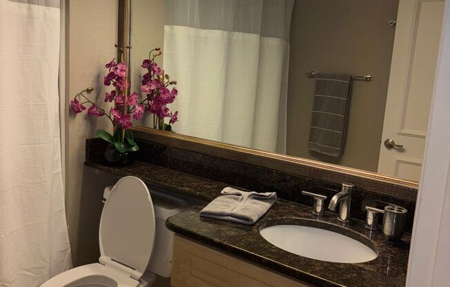 1 bed, 1 bath, $1,750, Unit 218