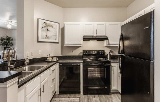 Eagle Creek, IN Apartments - Riverchase - Kitchen With White Cabinets, Hardwood Flooring, Dual Sinks, And Black Appliances