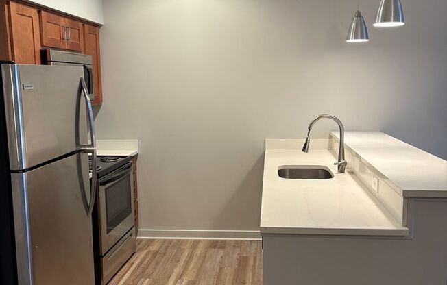 Studio, 1 bath, 484 sqft, $950, Unit Unit 310