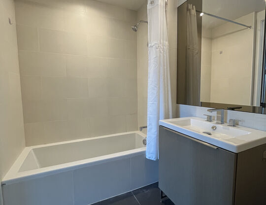 1 bed, 1.5 baths, 780 sqft, $3,000, Unit 701