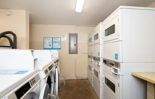 Studio, 1 bath, 250 sqft, $1,195, Unit 11