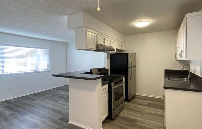 1 bed, 1 bath, 535 sqft, $1,895, Unit 1019-10