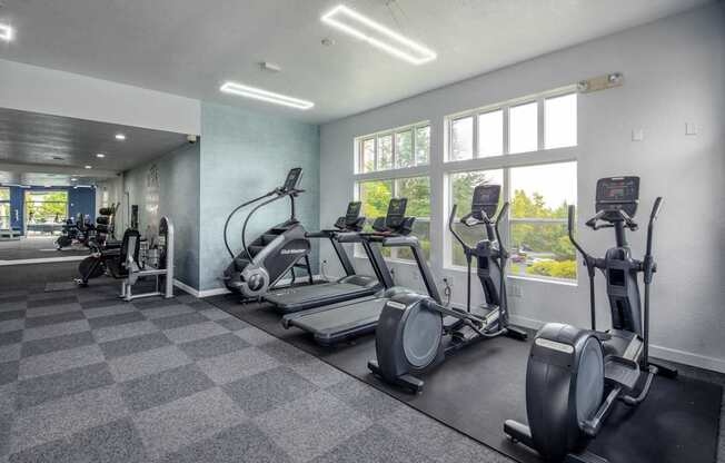 A gym with treadmills, elliptical machines, and a stationary bike.