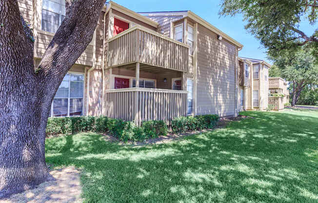 A tree is in front of a building.