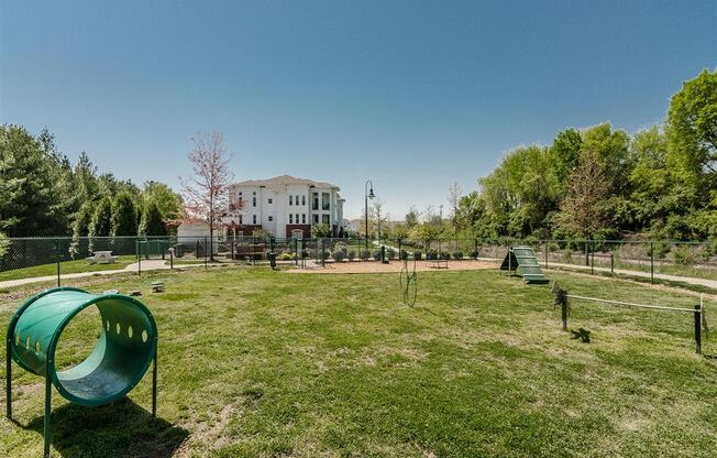 Dog Park| The Everly Apartments