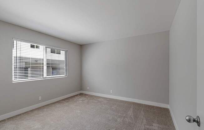 A room with a carpeted floor and a window with blinds.