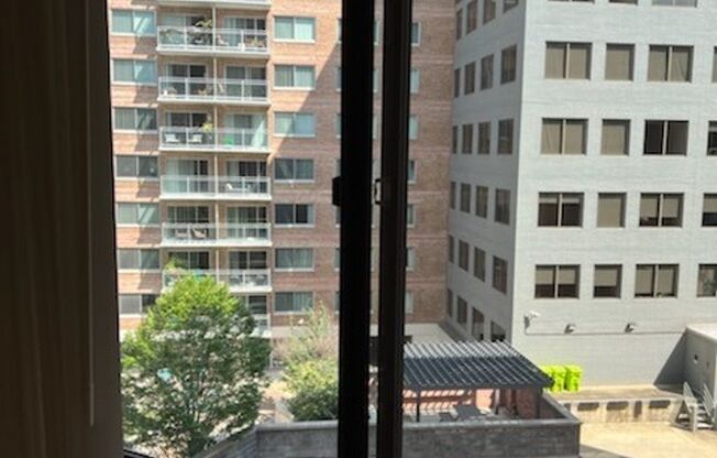 Studio, 1 bath, 460 sqft, $2,400, Unit 0519