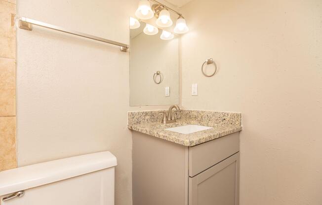 a sink and a mirror
