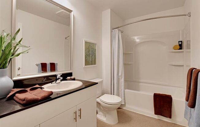 a bathroom with a sink and a toilet and a shower